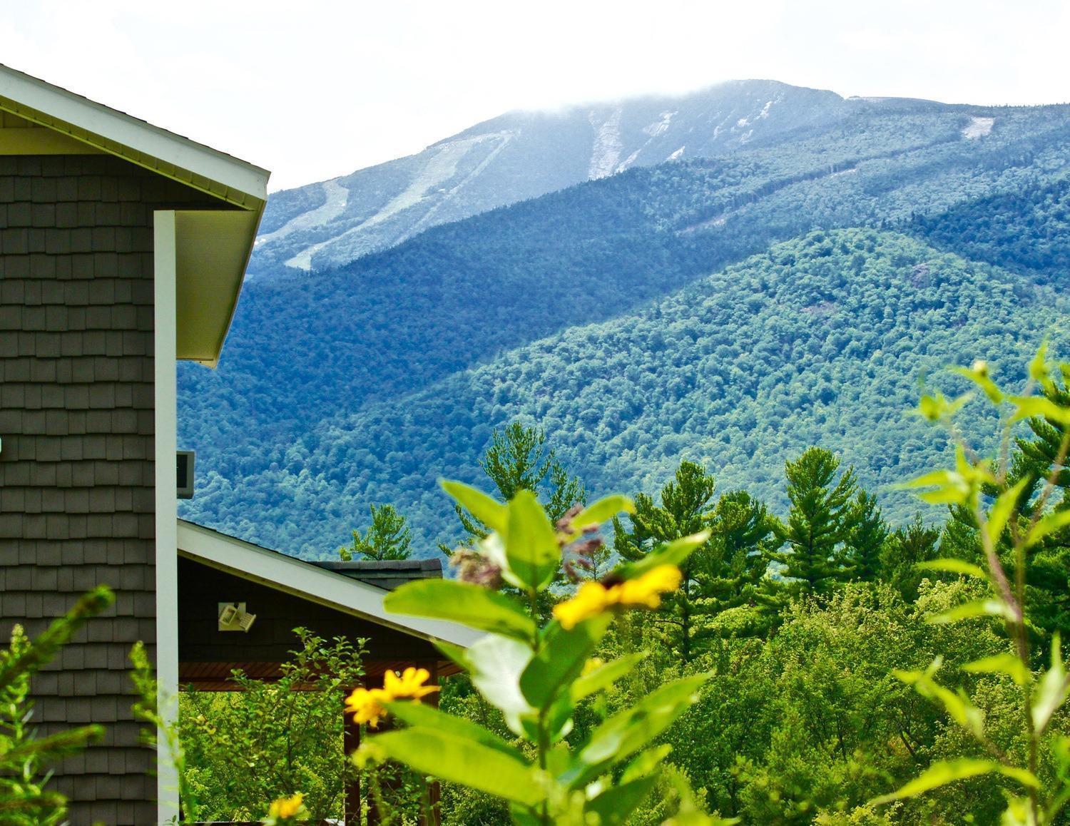 Villa Lookout Mountain Chalet à Wilmington Extérieur photo